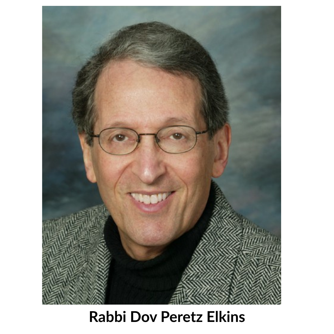Elkins%2C%20Rabbi%20Dov%20Peretz%20110826c.png